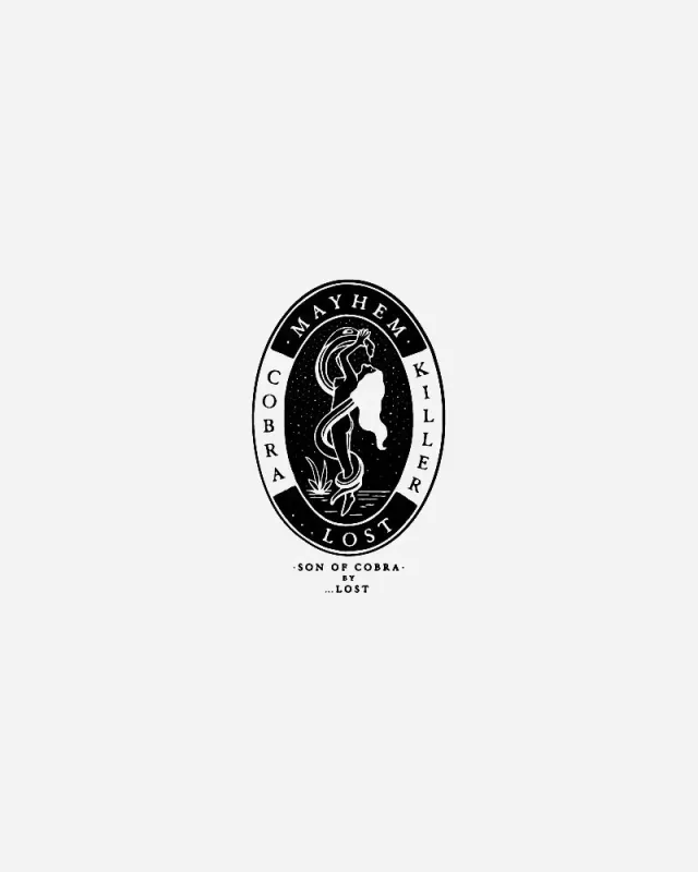 Lost Cobra Killer 6'4 (41L) Surfebrett