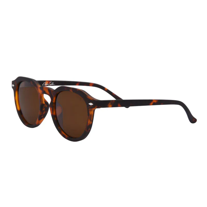I-SEA Blair Conklin - Tort/Brown Polarized Solbriller
